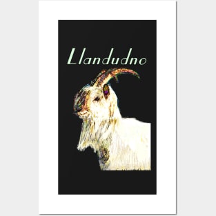 LLANDUDNO GREAT ORME GOAT MINT Posters and Art